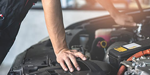 Pre Nct Check Service